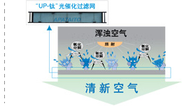 强力除菌,健康舒适