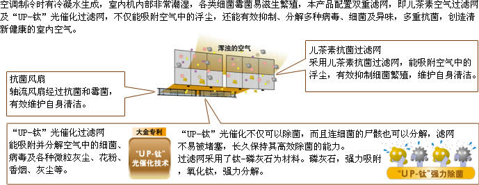 多重抗菌，清洁健康更安心