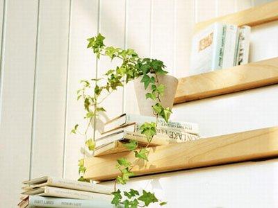 卧室不可摆放太多植物盆栽